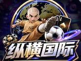 纵横国标